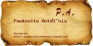 Paukovits Antónia névjegykártya